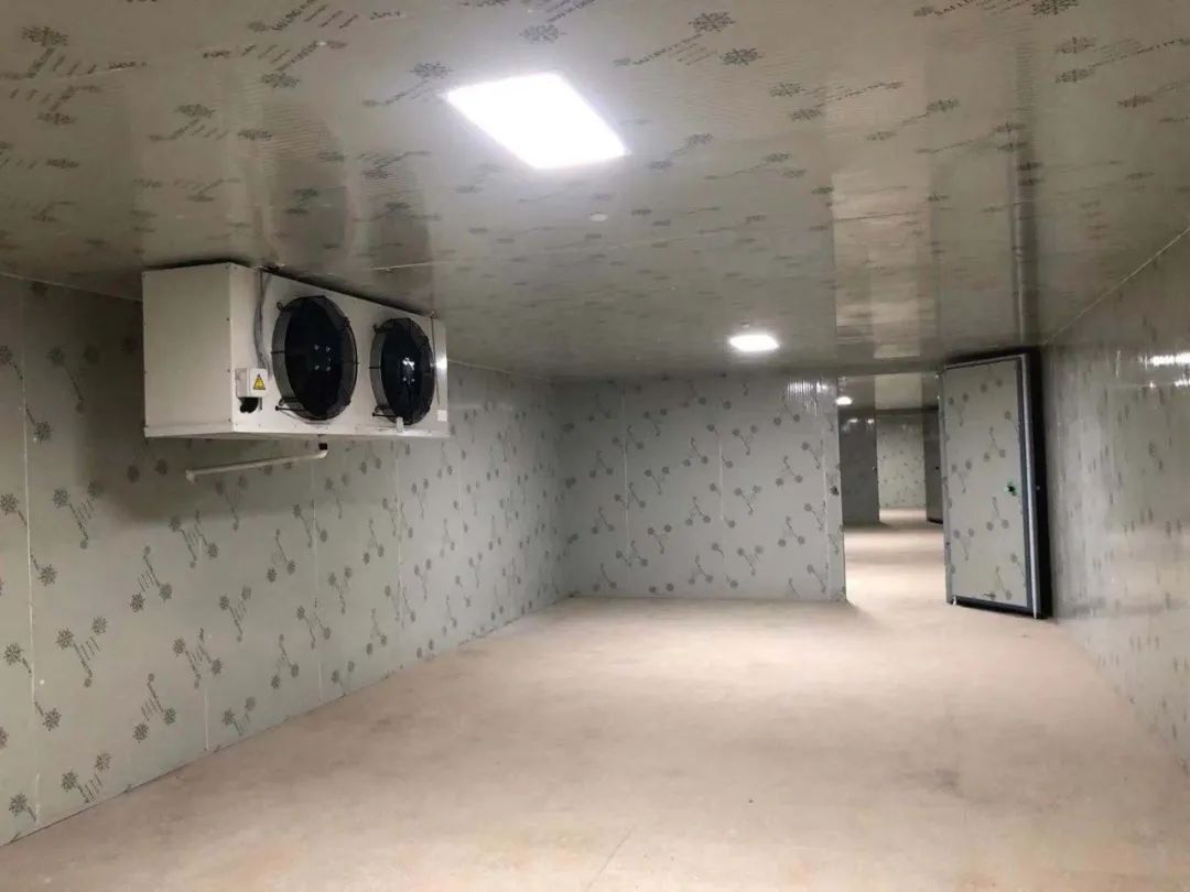 五台气调保鲜冷库造价